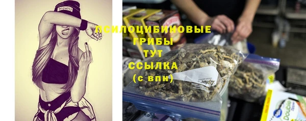 ECSTASY Алзамай
