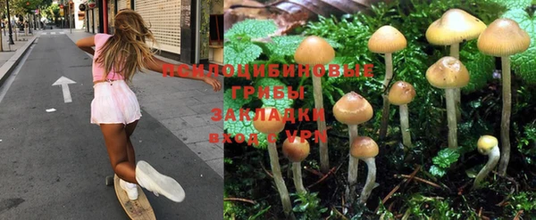 ECSTASY Алзамай