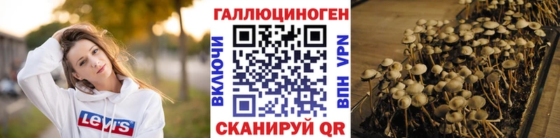 Псилоцибиновые грибы Psilocybine cubensis  МЕГА сайт  Владимир  где можно купить наркотик 