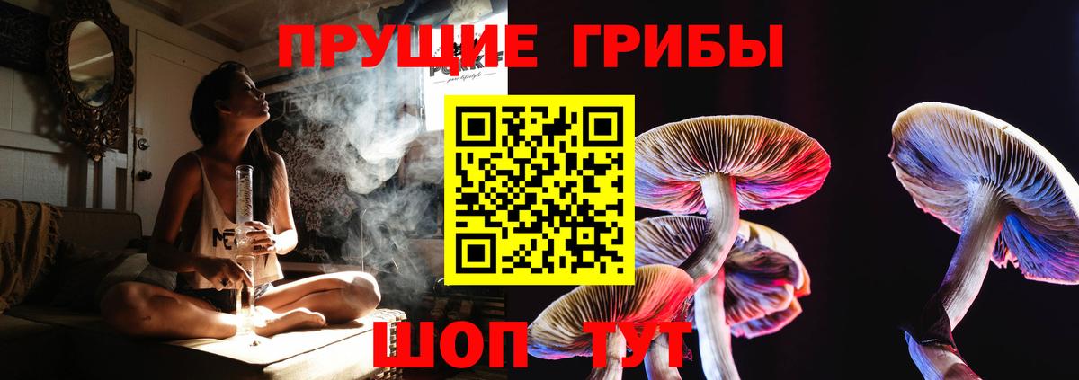 Галлюциногенные грибы Magic Shrooms  Псилоцибиновые грибы MAGIC MUSHROOMS  Вход с VPN  Владимир 