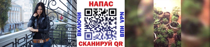 Каннабис Bruce Banner  купить   Владимир 
